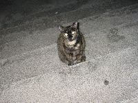 �˂�